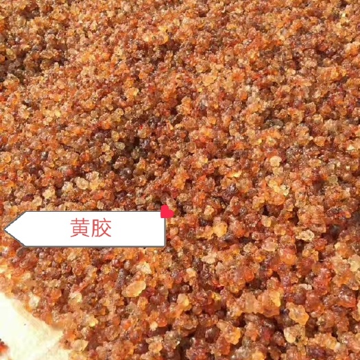 随县桃胶