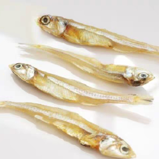 海鲜小鱼干海燕鱼银鱼干