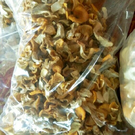 昆明鸡油菌  干货