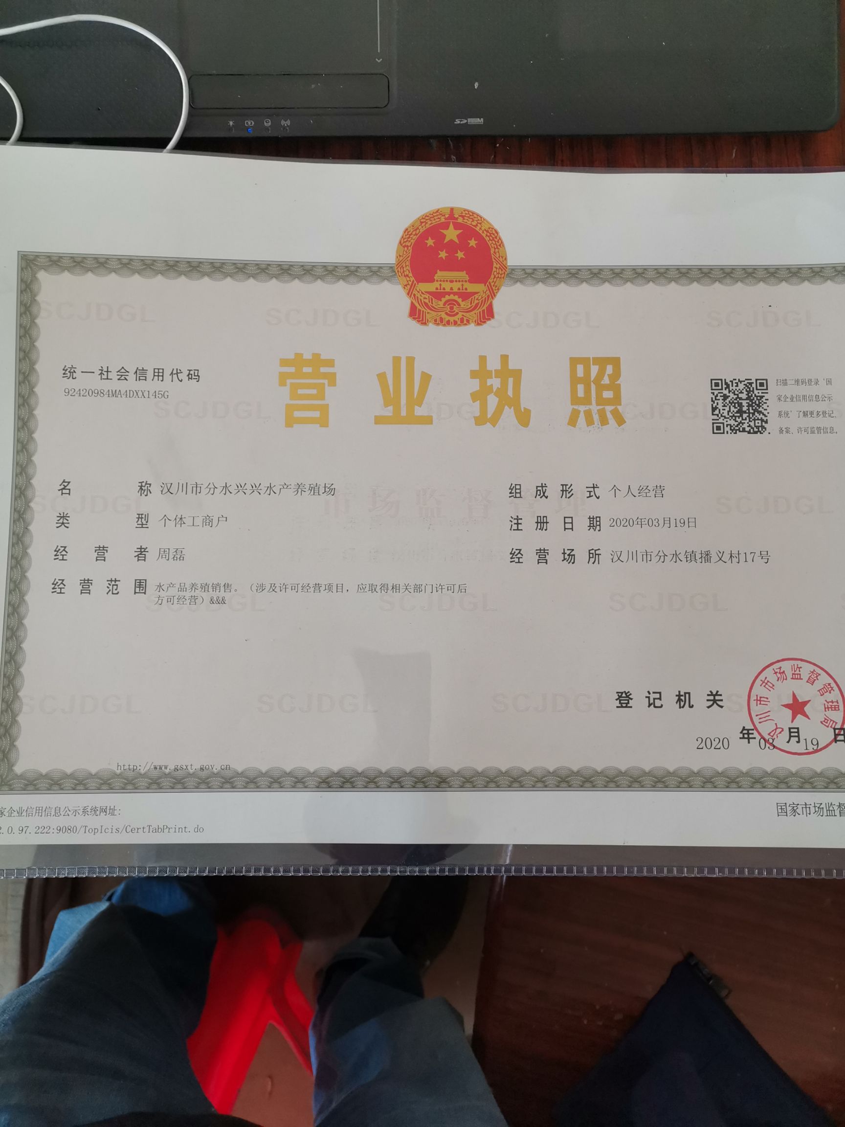 薄壳大石螺1.5以上1.8炮头石螺不封顶无青苔