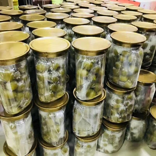 普宁市青竹梅 潮汕酥脆梅