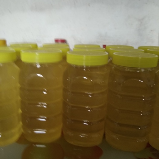 乐山油菜蜜 今年的菜花蜜