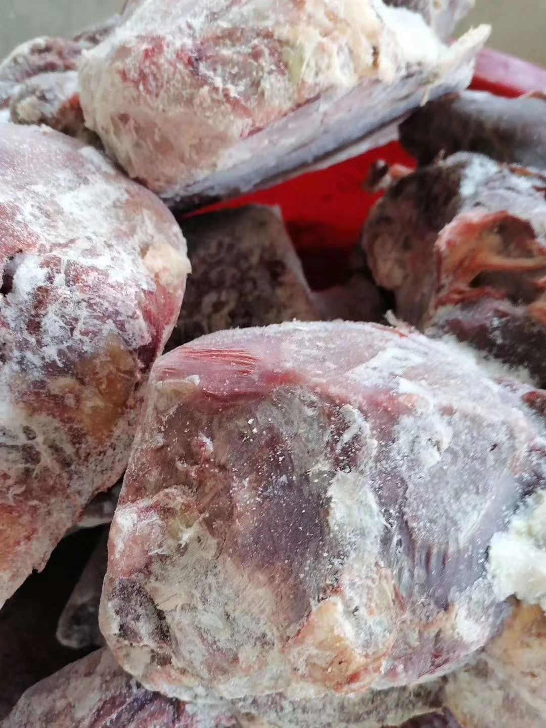 鲜马肉  蒙古马肉现货出！四分体 ，五分体