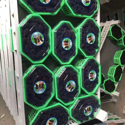 德昌县德昌桑葚，冷库出租，代收，代发，鲜果冻果，桑葚干代加