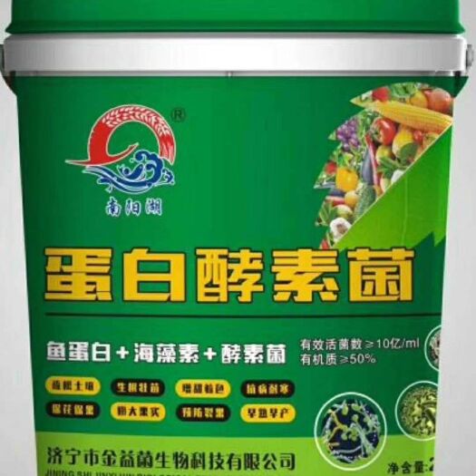 济宁菌肥 膏体蛋白菌
