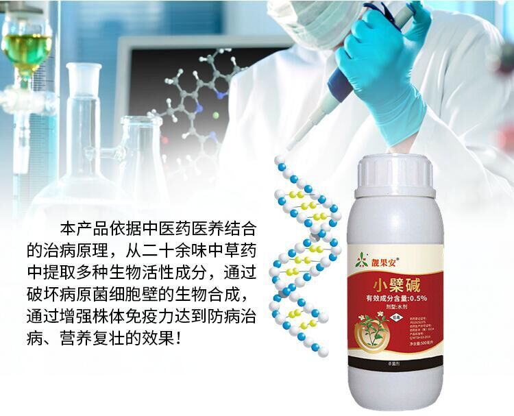  靓果安 芒果角斑病猕猴桃柑橘溃疡病褐斑炭疽病桃树穿孔病杀菌