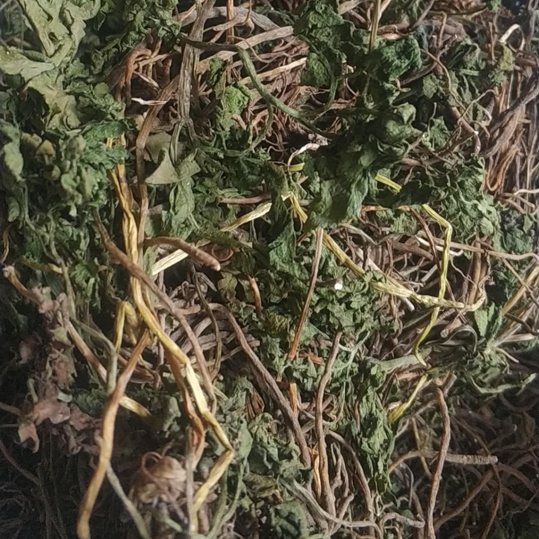 一朵云叶贵州全绿一朵云干货小春花蕨草细辛冬生草包邮