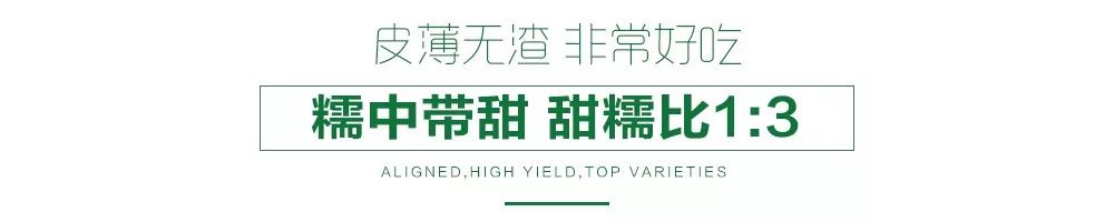  【可生食】鲜食水果玉米种子