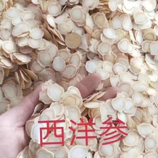 抚松县 长白山优质西洋参软质片各种规格卖家包邮