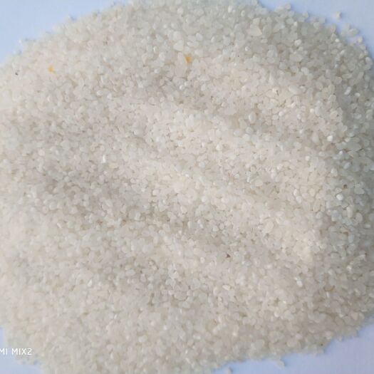  鱼台大米优质碎米白米三青米酒米食品米