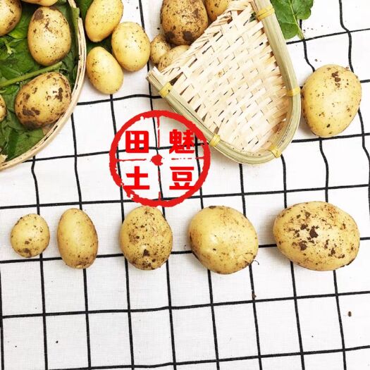 滕州市迷你土豆迷你土豆迷你土豆注册商标企业
