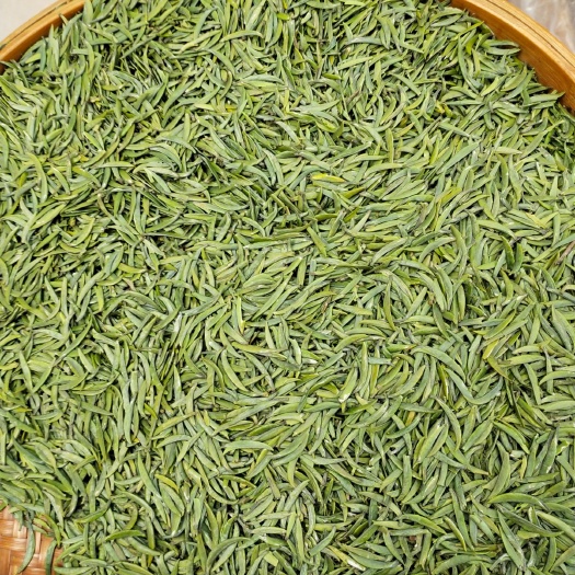 雅安竹叶青茶 2020新茶竹叶青