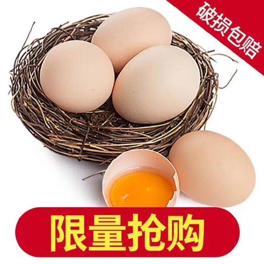 苍溪县 虫草粮食半圈养土鸡蛋