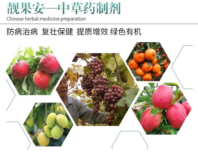  靓果安 芒果角斑病猕猴桃柑橘溃疡病褐斑炭疽病桃树穿孔病杀菌