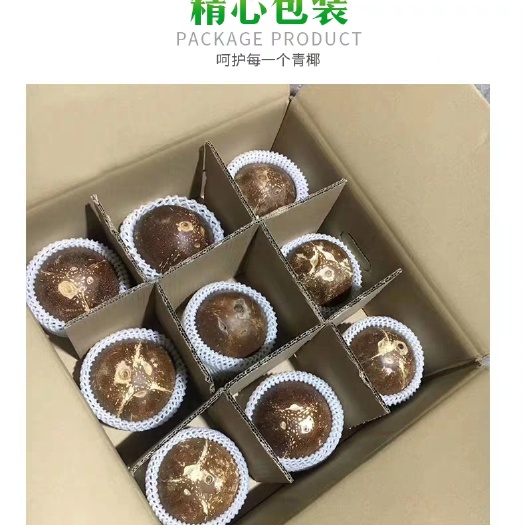 海南椰皇椰王牛奶老椰子9个装超厚椰肉炖鸡汤榨汁椰奶冻现摘水