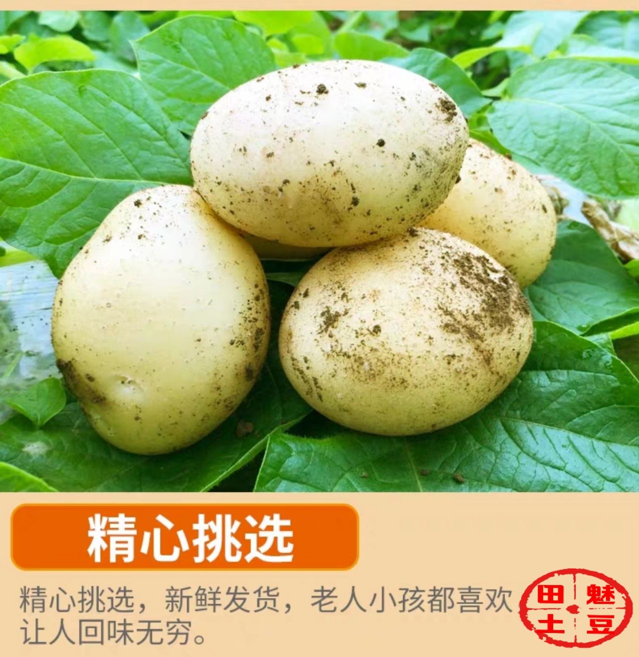 迷你土豆迷你土豆迷你土豆注册商标企业