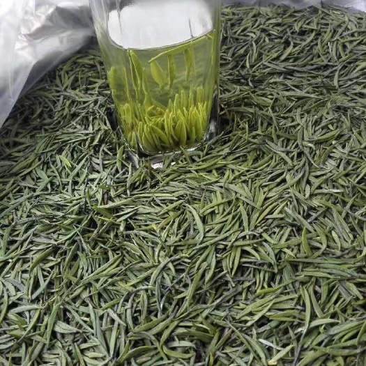 雅安竹叶青茶 竹叶青