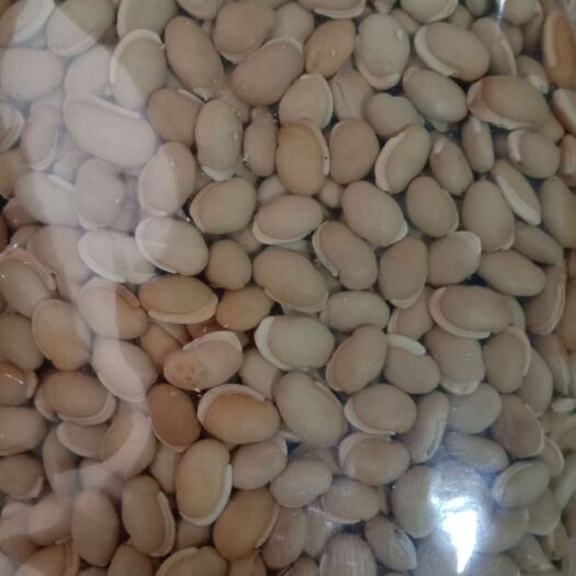 干扁豆 批发低温烘焙白扁豆，，熟白扁豆