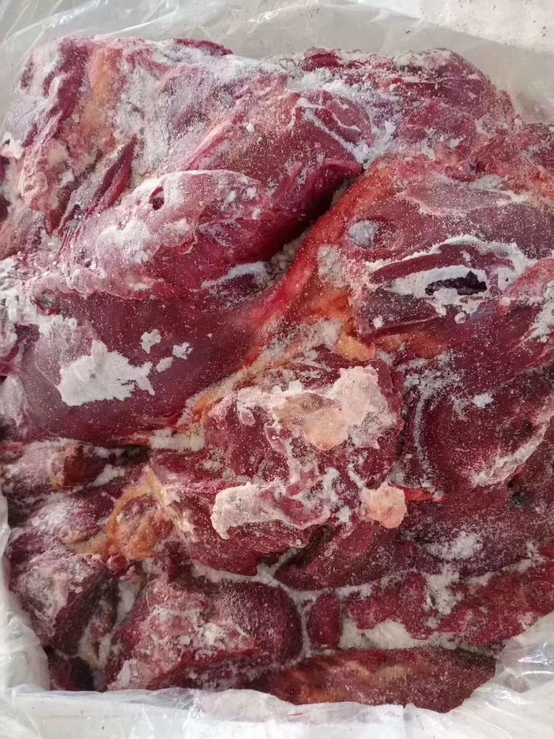 鲜马肉  蒙古马肉现货出！四分体 ，五分体