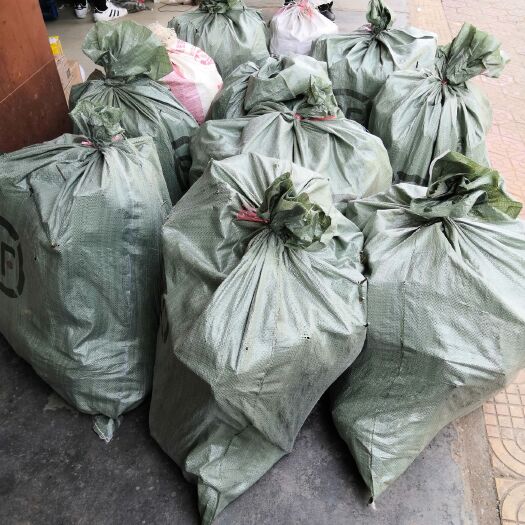 樟树市吴茱萸苗 发往云南的3000棵苗 两年苗数量不多有需要的联系