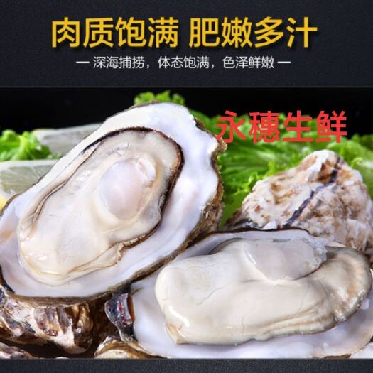 湛江湛江生蚝 每天大量新鲜到货 全国发