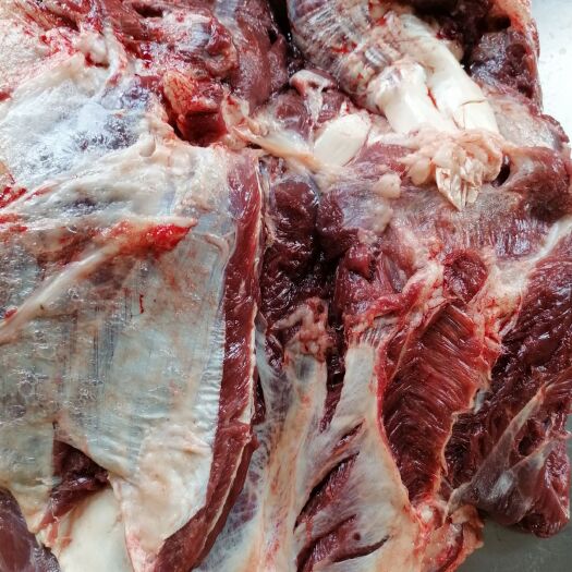 宁津县 今日份鲜驴肉，新鲜无注水