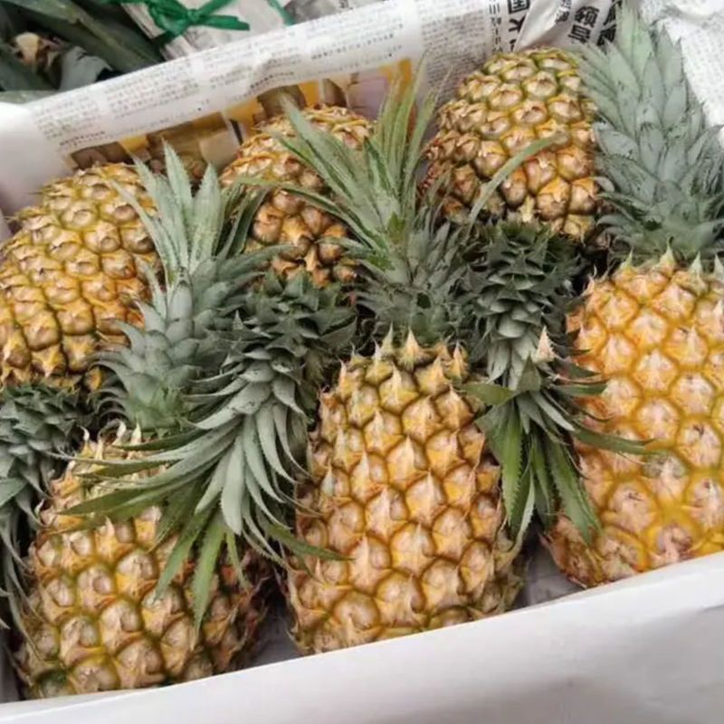  海南菠萝，便宜实惠，免费削皮，，，