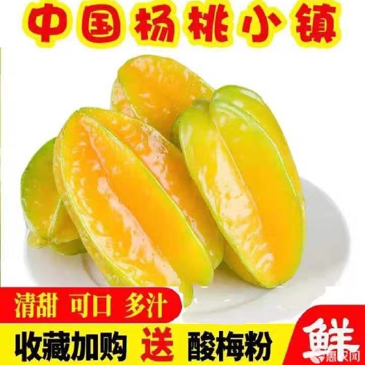 云霄县 漳州云霄下河杨桃5斤包邮超甜老树大果现摘现发热带水果孕妇