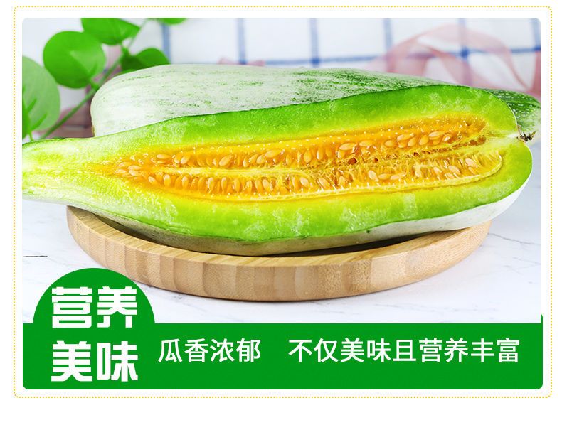 【脆甜】 羊角蜜甜瓜现摘现发新鲜应季水果羊角蜜瓜博洋5斤甜瓜