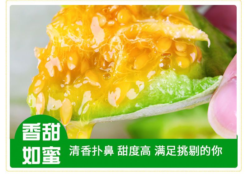 【脆甜】 羊角蜜甜瓜现摘现发新鲜应季水果羊角蜜瓜博洋5斤甜瓜