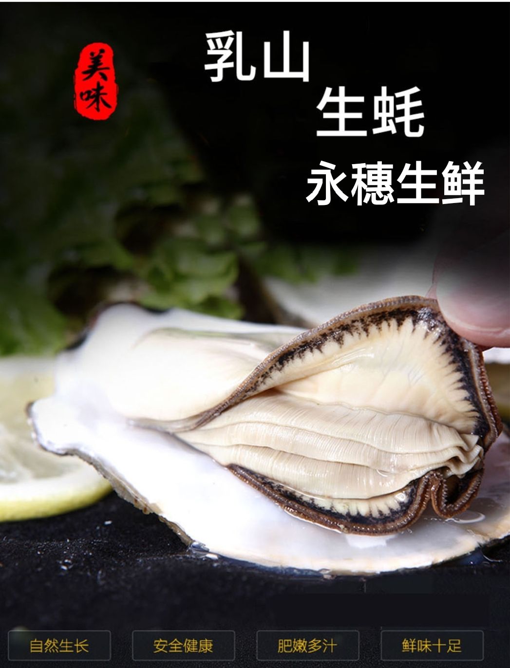 珠海生蠔  湛江生蠔 產(chǎn)地直發(fā) 肉肥味鮮 大中小規(guī)格