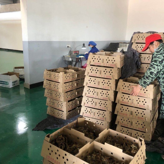 简阳市血毛土鸡苗 注册商标  血毛土鸡  如假包赔