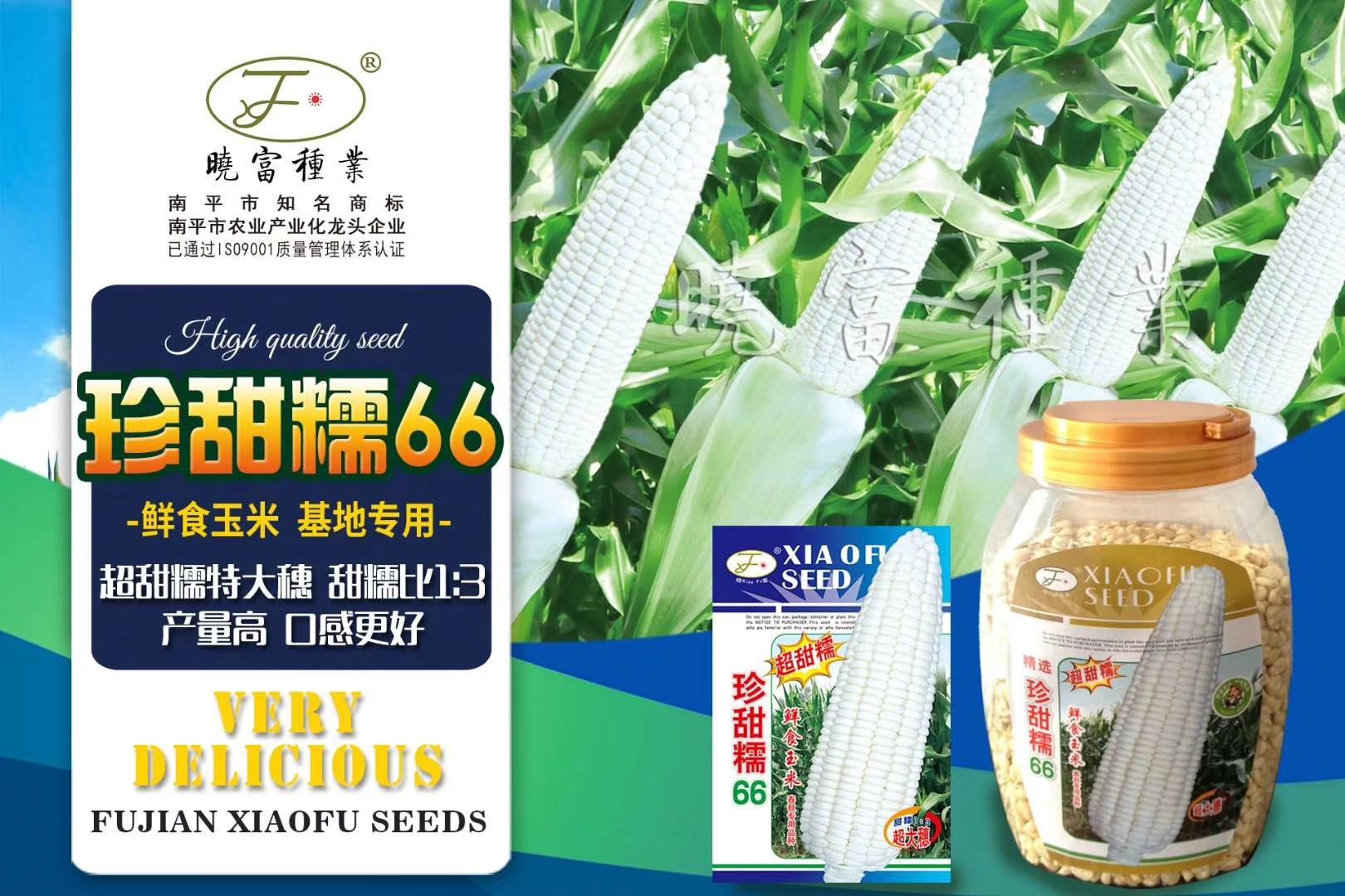  【可生食】鲜食水果玉米种子
