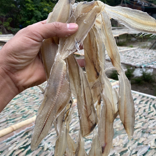 北海 小龙利鱼干北海特产海味特产九成干度小咸鱼干风干晒制鱼干