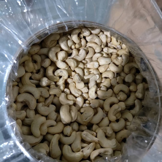 东兴市腰果 6-12个月 散装
