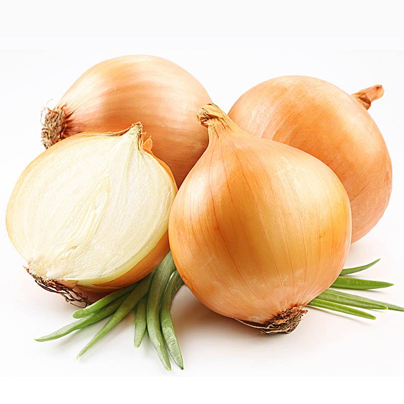 黄皮洋葱