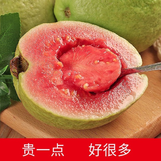 北流市 【低糖分不增肥】广西红心芭乐番石榴白心新鲜水果 单果