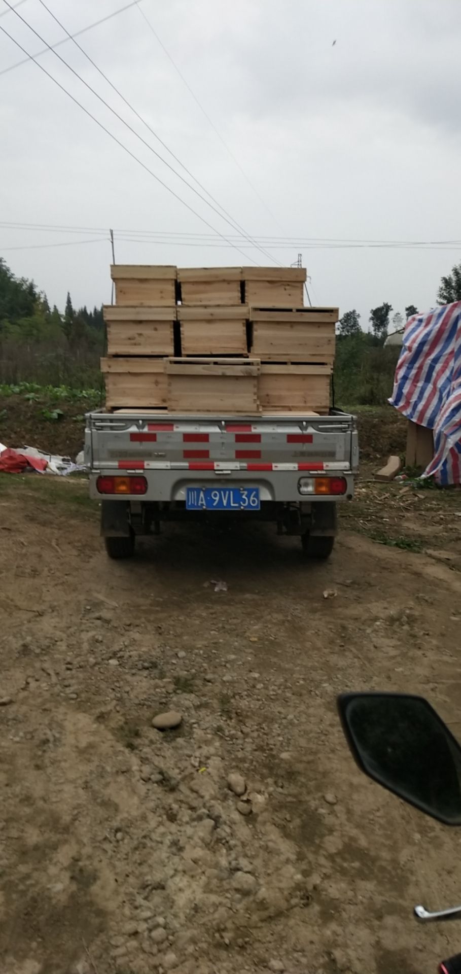 杉木蜂箱 全杉木标准十框蜂箱