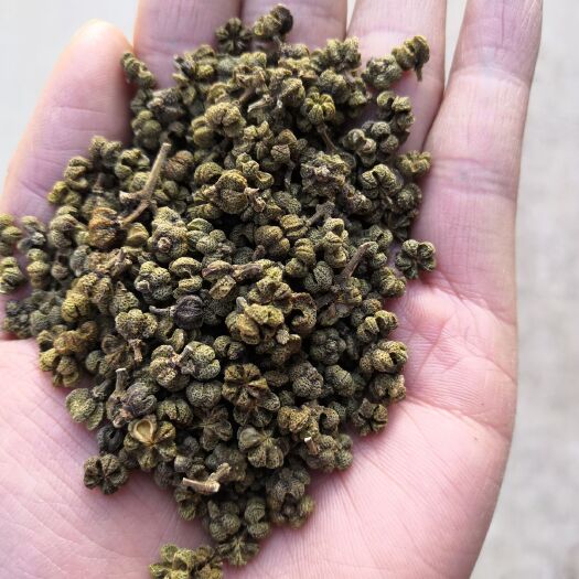 柳城县广西中花吴茱萸产地直供