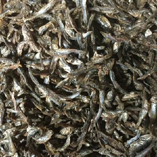 海兴县鱼粉 渤海湾优质鱼干到货公司以质量求生存是养殖业的必选产品