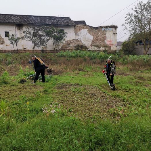 重庆市除草机 多功能锄草机