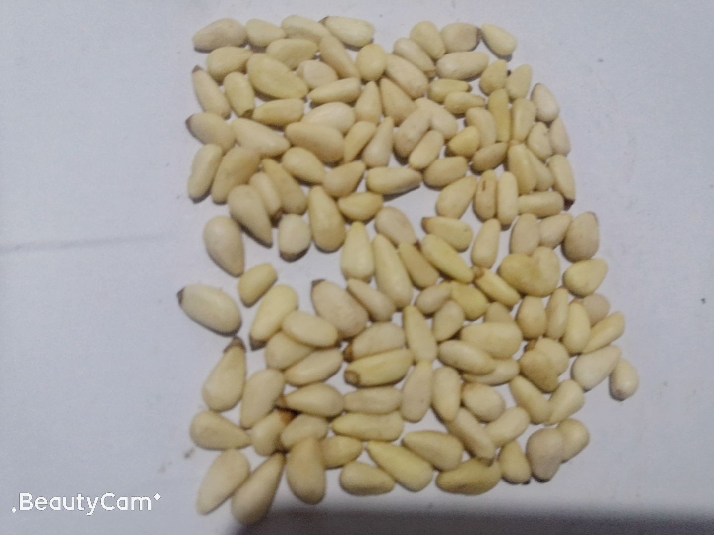 松子仁 油炸红松仁一等食品厂出口货