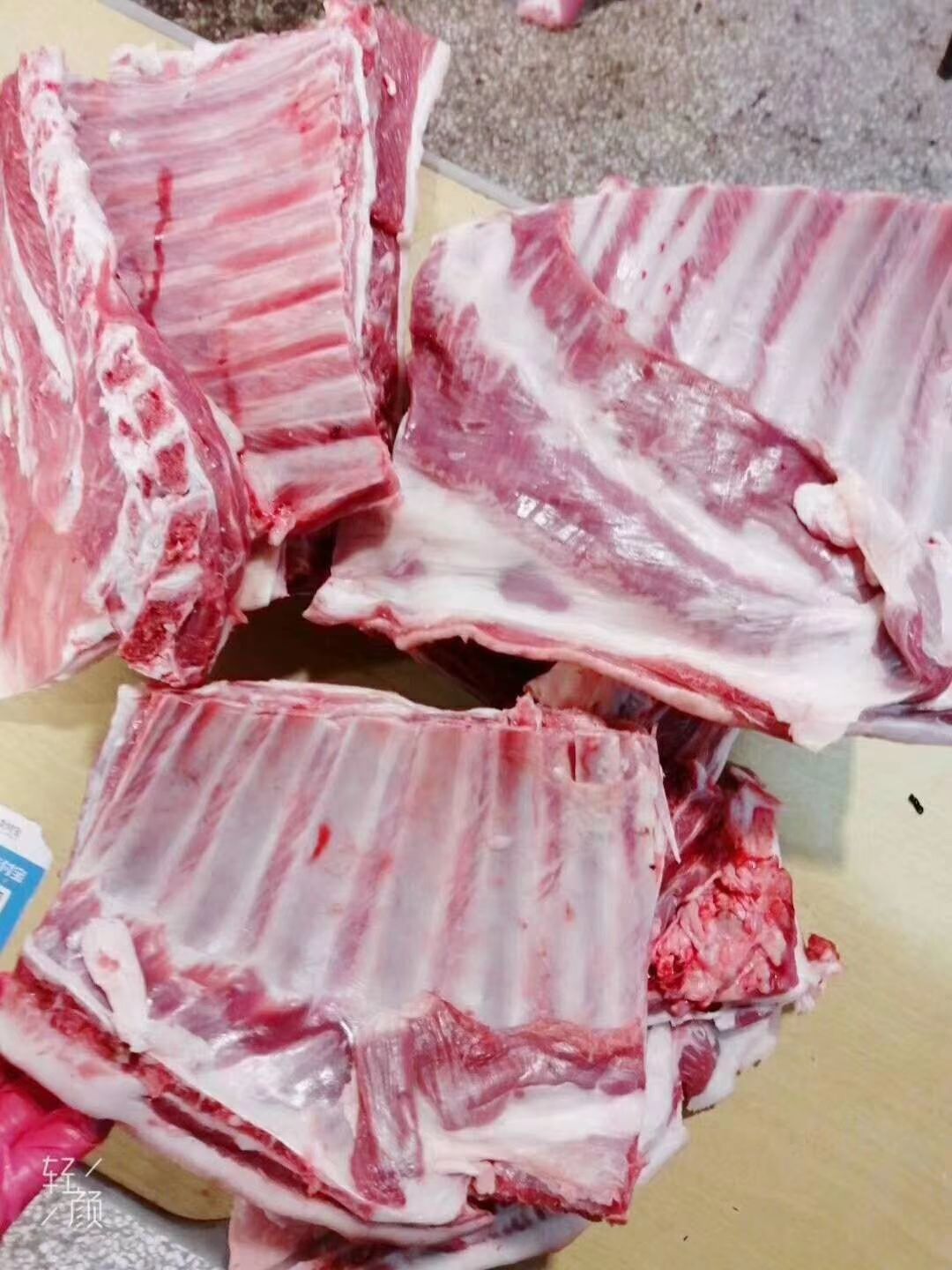 绵羊  宁夏滩羊！懂货的来！