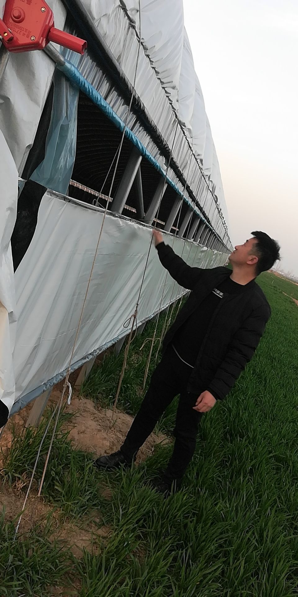 钢丝地锚，大棚地锚厂家直接规格齐全量大优惠价格便宜！！