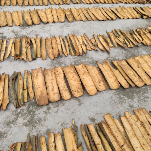 郁南县 桂皮干货无水分！
