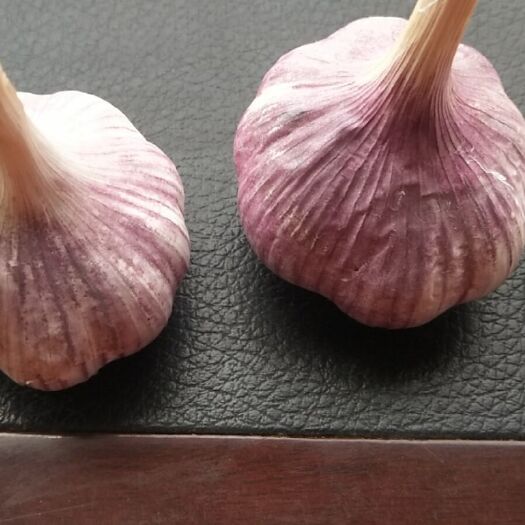 金乡县红皮蒜   金乡大蒜
