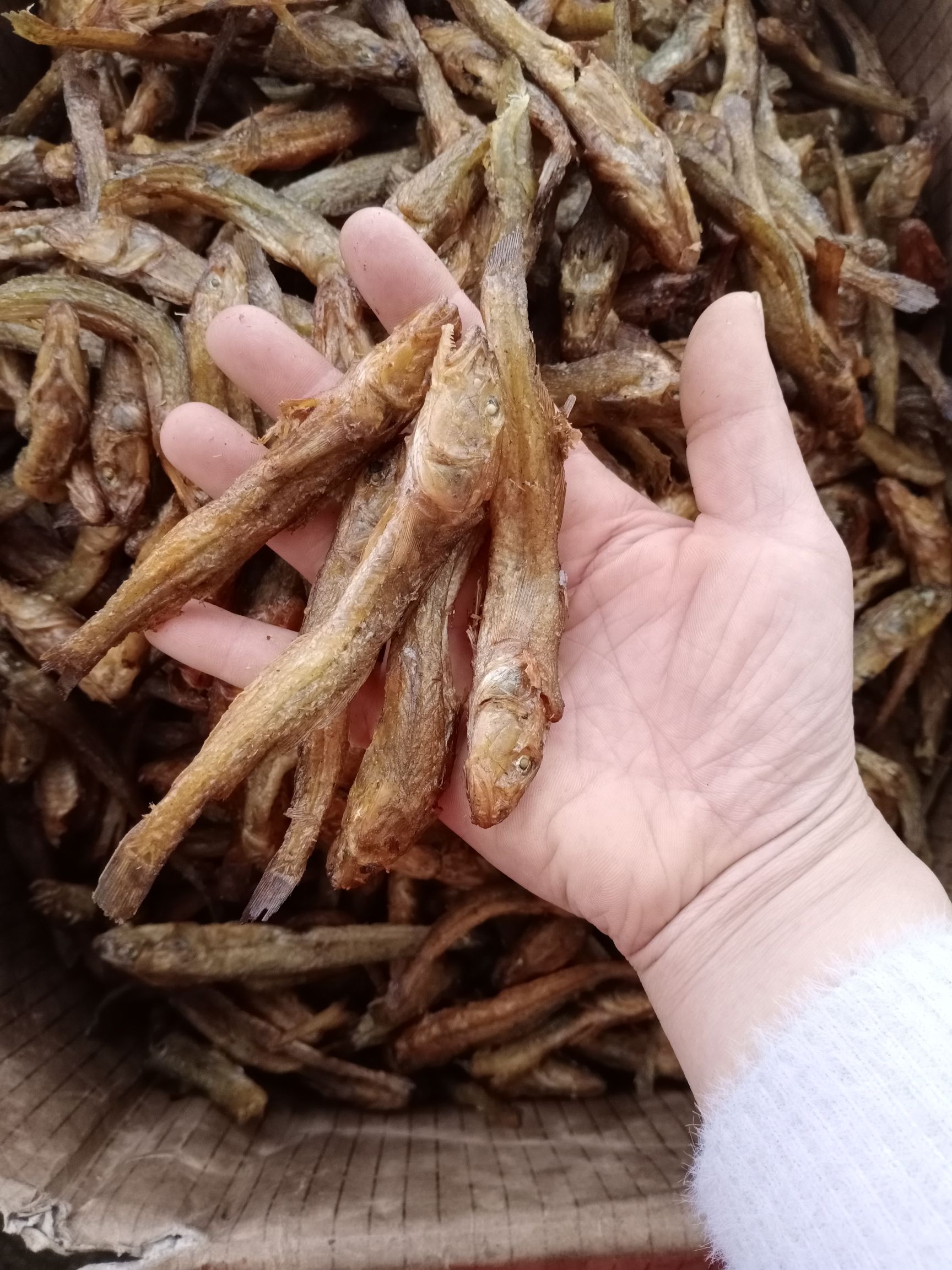 黄鱼干 烟熏烤干鱼（无胆全是肉）品相好（食堂走江湖专用