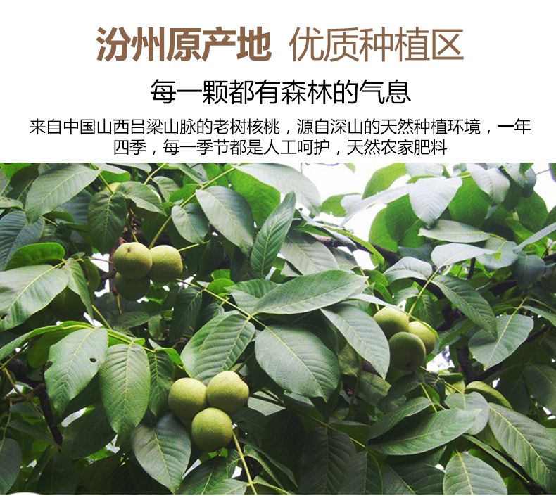 礼品核桃  20年山西老树核桃，果仁饱满天然无漂白产地直销散批袋装均