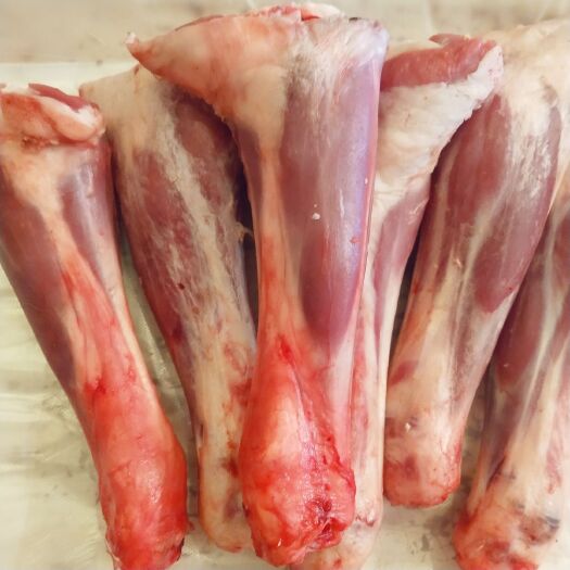 银川绵羊  宁夏盐池滩羊新鲜羊肉羔羊腱子生羊腿烧烤羊棒骨新鲜！