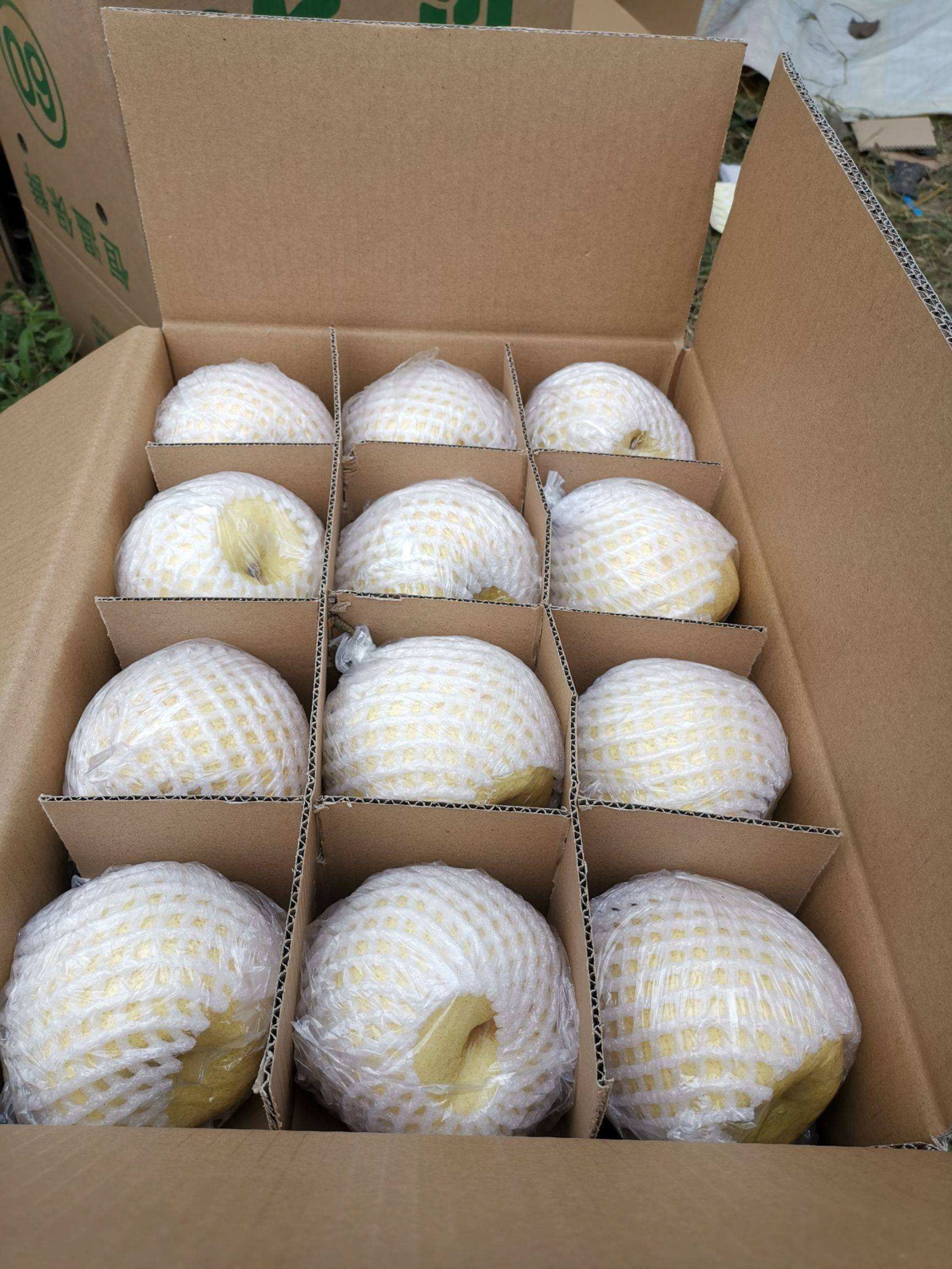 大荔县和蒲城县两个县酥梨正在热卖中（代发、代办）